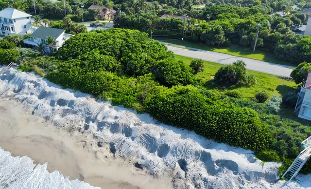 a view of a garden with pathway
