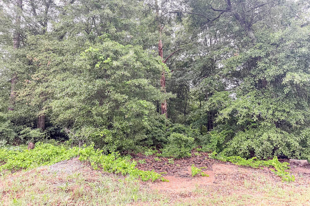 1305 Silver Bluff Road Aiken, SC 29803 - Photo 2 of 2 Wooded Lot!