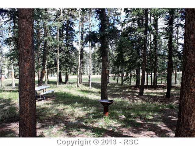 Private Wooded Front Yard