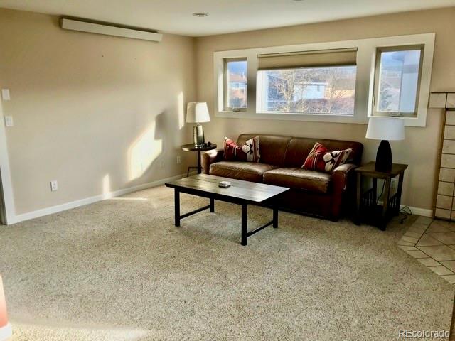 120 Norgren Road, Unit A B C Fraser, CO 80442 - Photo 31 of 39 a living room with furniture and a potted plant