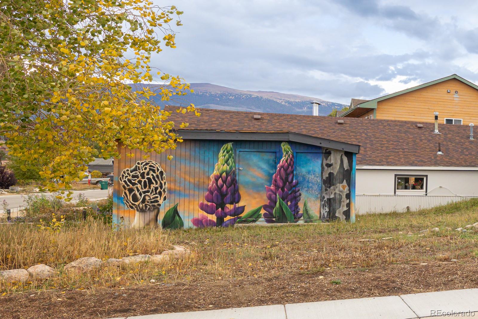 120 Norgren Road, Unit A B C Fraser, CO 80442 - Photo 4 of 39