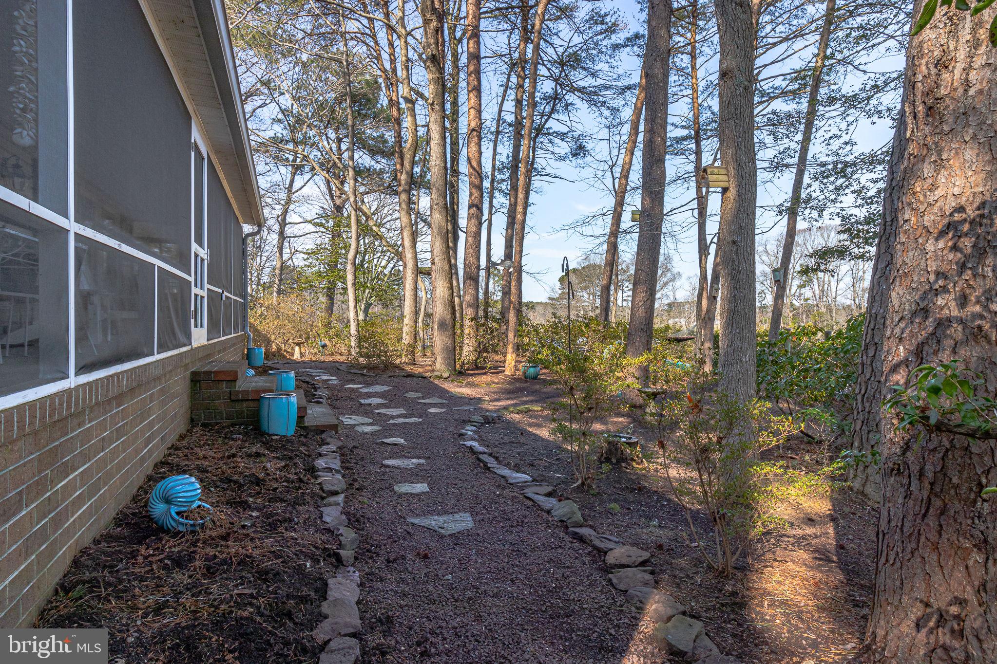 166 Nottingham Drive Reedville, VA 22539 - Photo 46 of 61 a view of a yard with plants and large trees