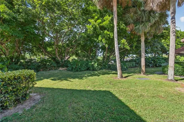 a view of a yard with a tree