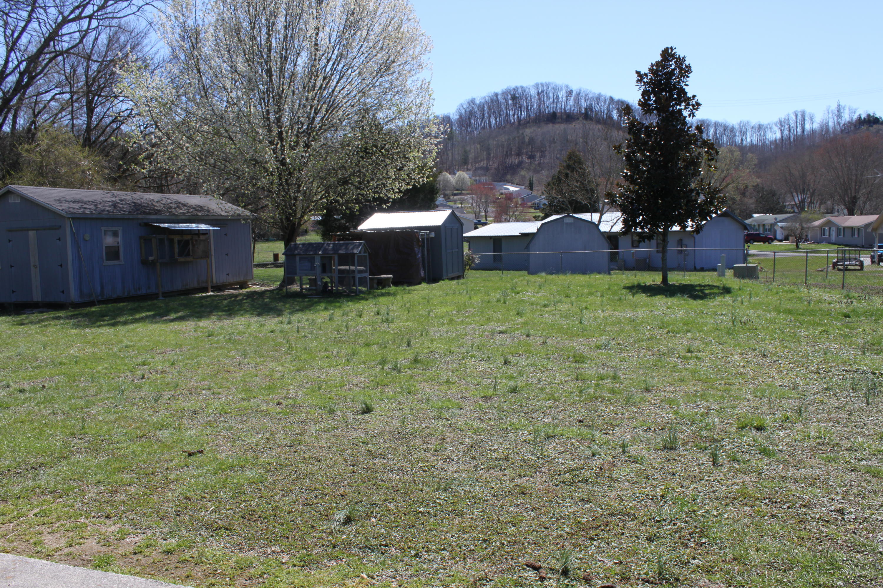 407 Edgemoor Road Powell, TN 37849 - Photo 6 of 16 IMG_0696