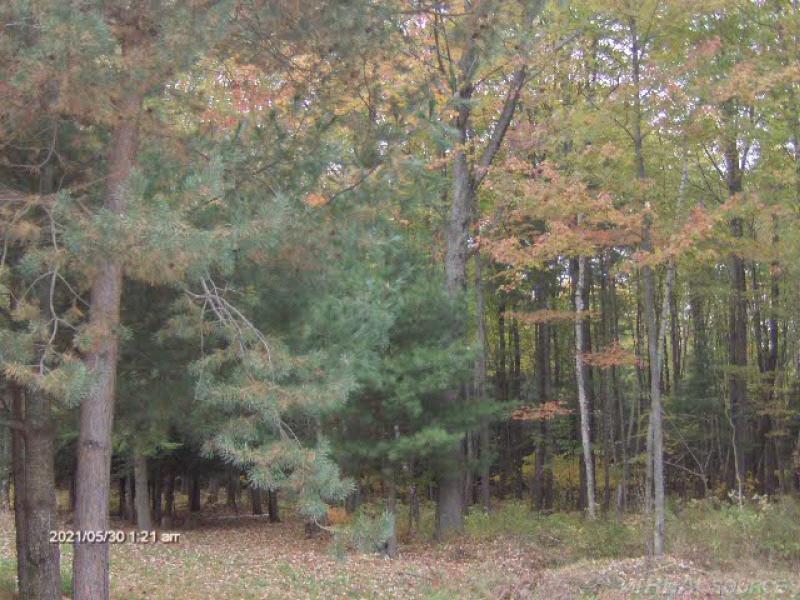 3590 Lakeshore Road Lexington, MI 48450 - Photo 13 of 37 31335656-12.JPG