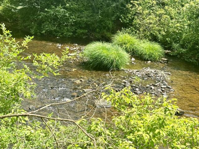 387 Crane Run Road Sheffield, PA 16347 - Photo 10 of 12 Gallery Image 10