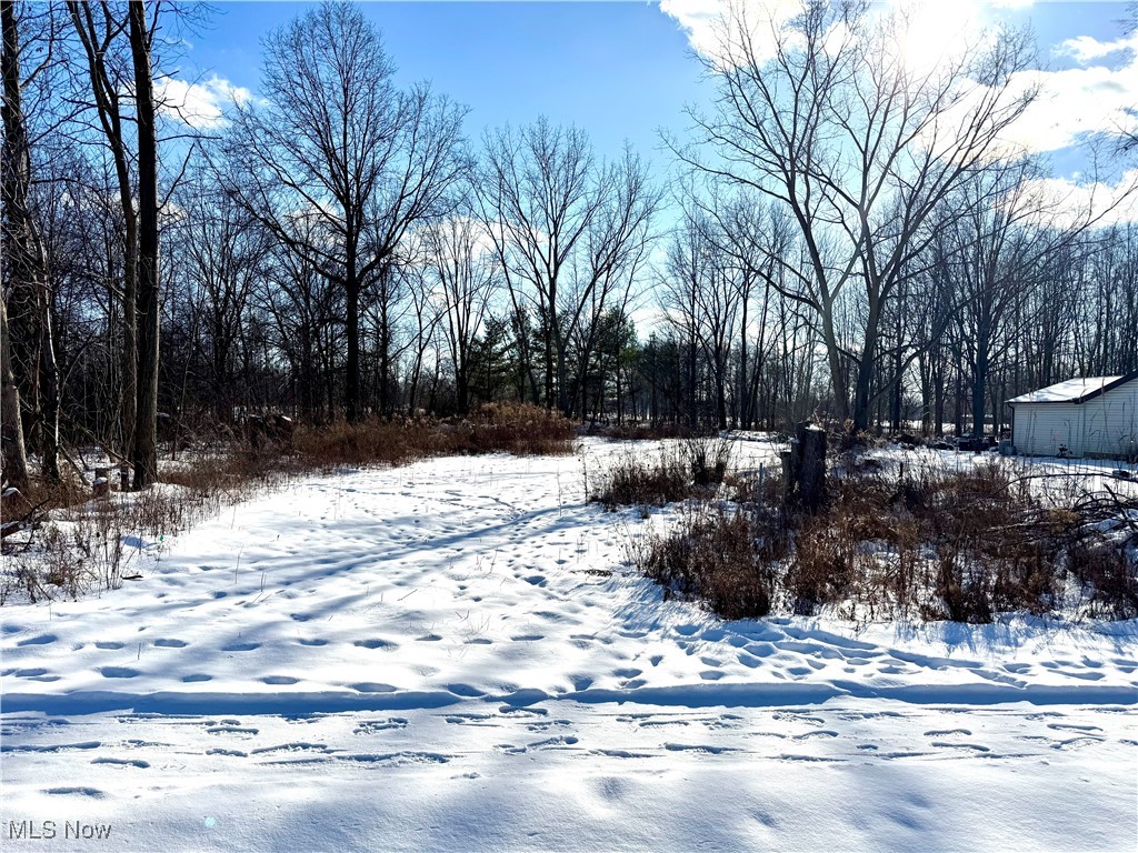 31857 Avon Road Avon, OH 44011 - Photo 3 of 6