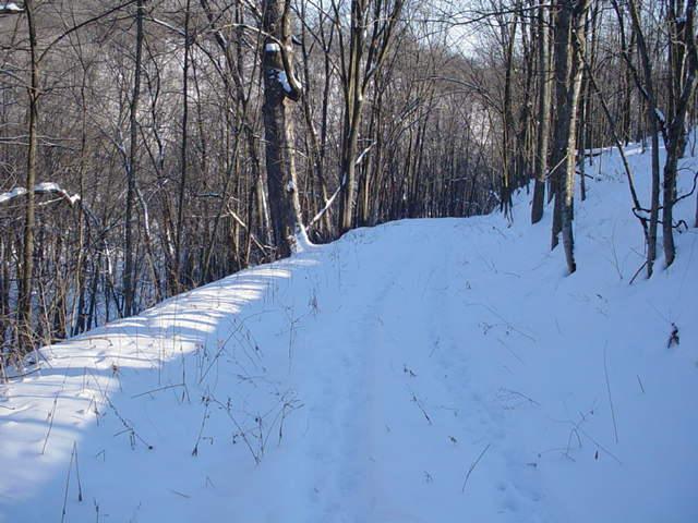 0 Ehorn Road Gays Mills, WI 54631 - Photo 1 of 1 Land