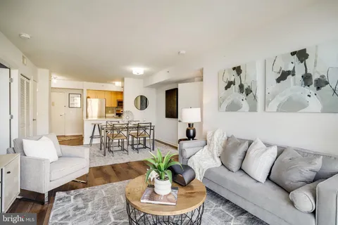 a living room with furniture or couch and a potted plant