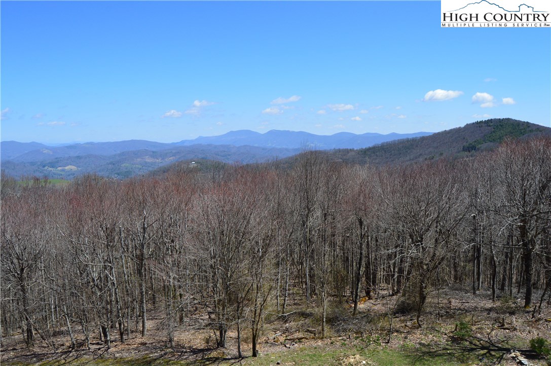 448 St Andrews Road Beech Mountain, NC 28604 - Photo 22 of 23 Gallery Image 22