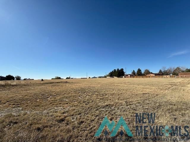 Of Medical Park Street Raton, NM 87740 - Photo 3 of 10 Gallery Image 3