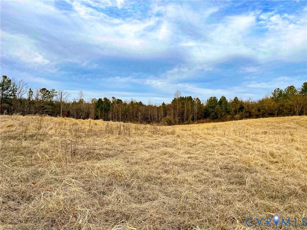 59 Taylor Farms Road Kenbridge, VA 23944 - Photo 49 of 50