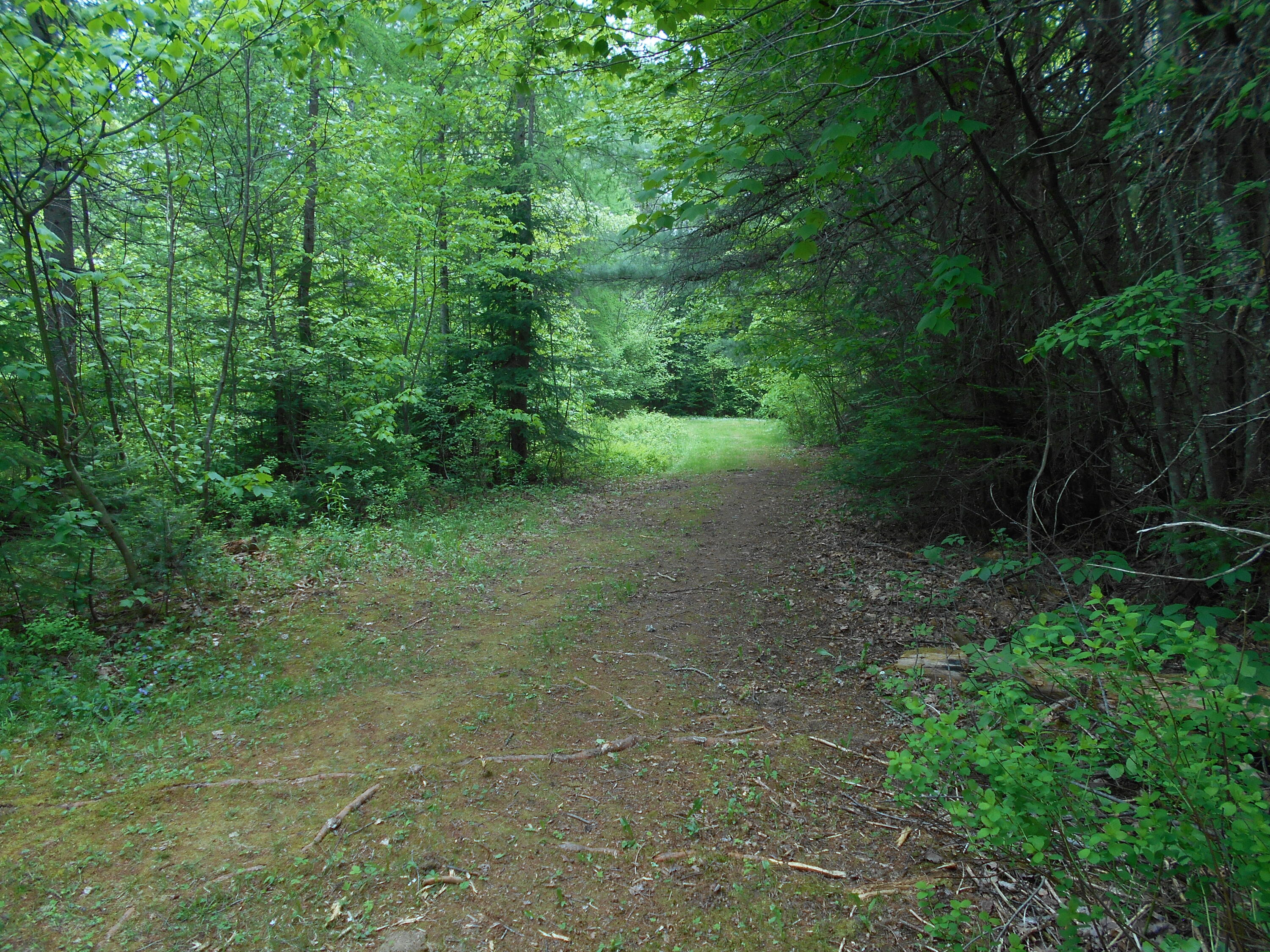 840 North Chester Road Lincoln, ME 04457 - Photo 32 of 68 DSCN7782