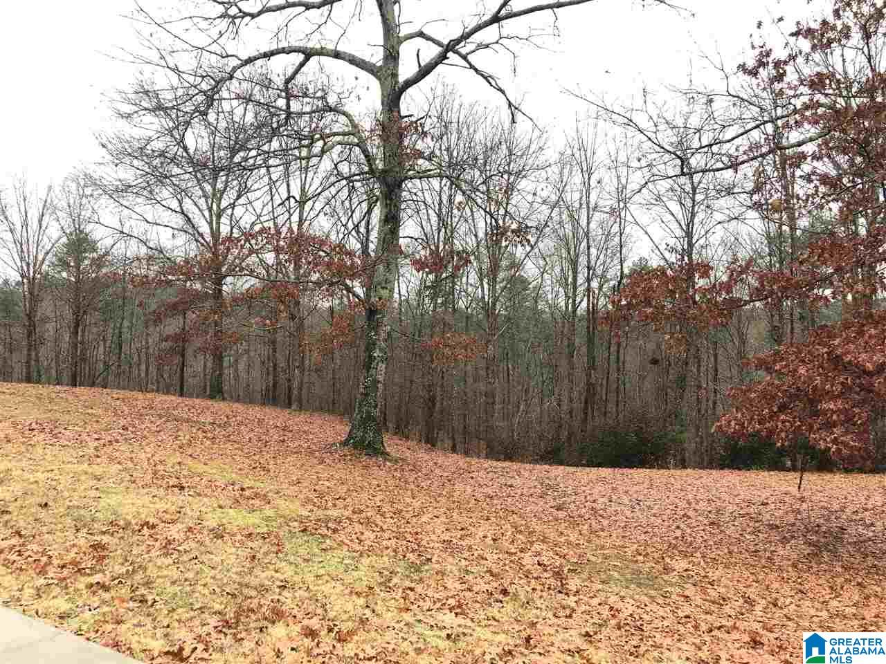 30899 Highway 431 Heflin, AL 36264 - Photo 37 of 42