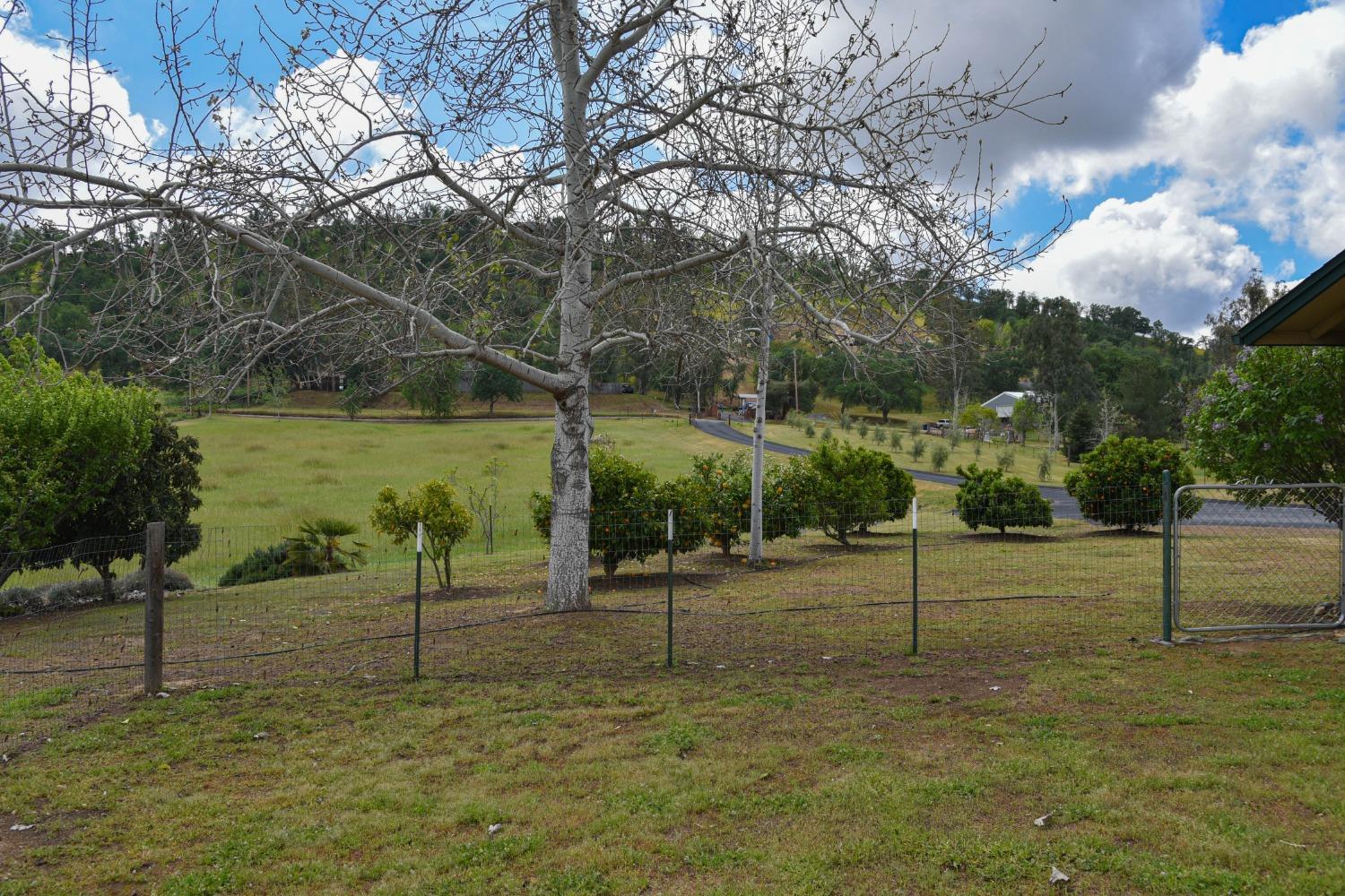 20074 Nicholas Road Clovis, CA 93619 - Photo 24 of 40 Gallery Image 24