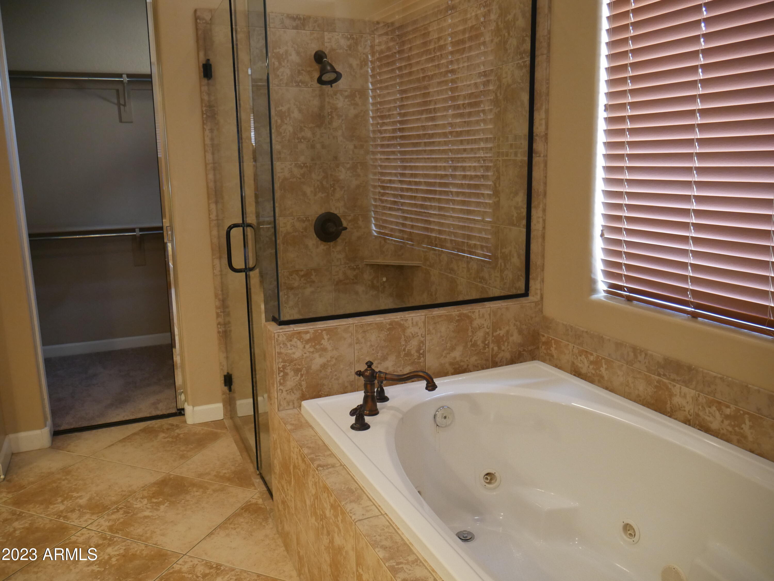 20007 North 19th Street Phoenix, AZ 85024 - Photo 8 of 21 Separate shower and tub in master