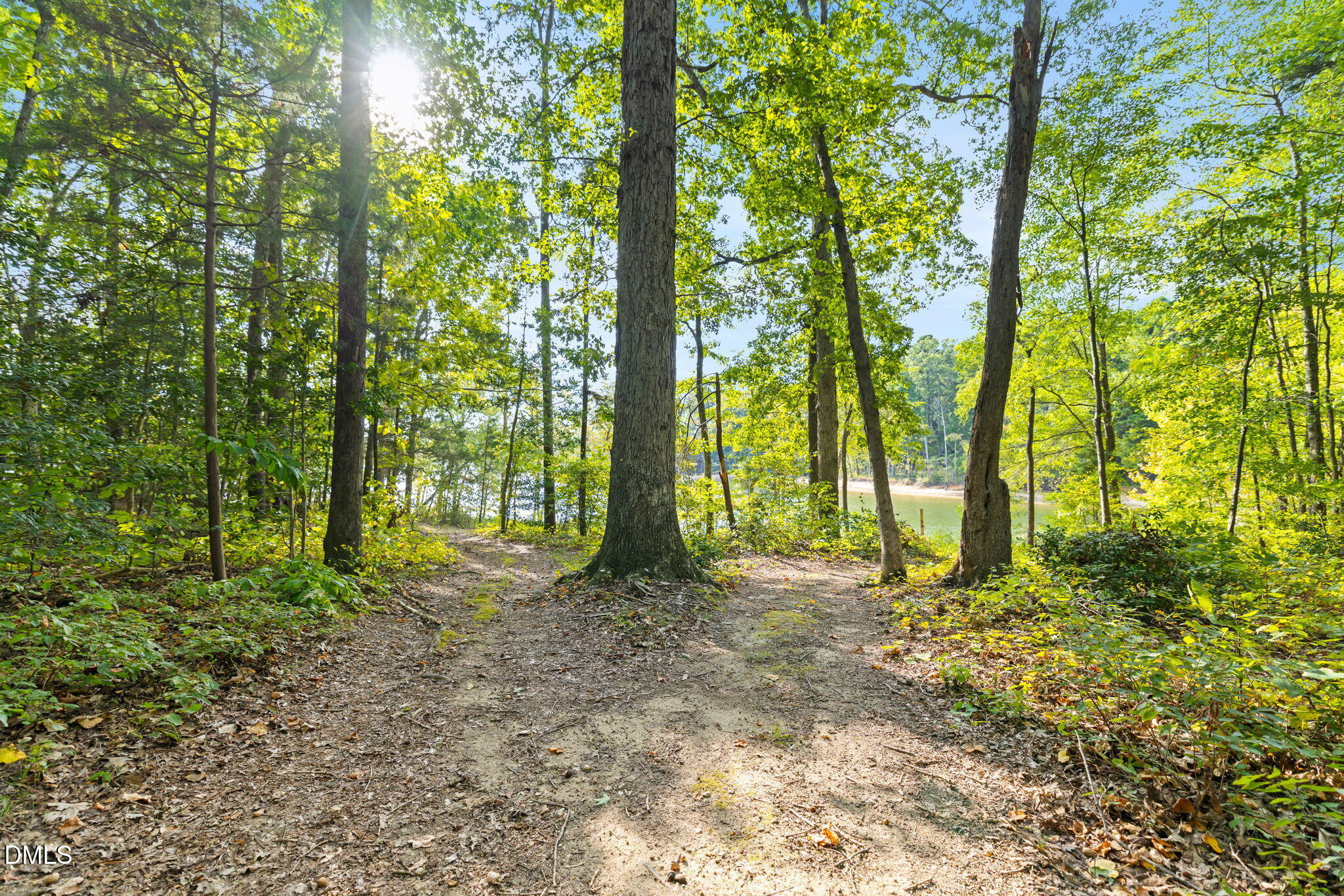 1873 Mill Creek Road Clarksville, VA 23927 - Photo 20 of 50 a view of outdoor space and trees