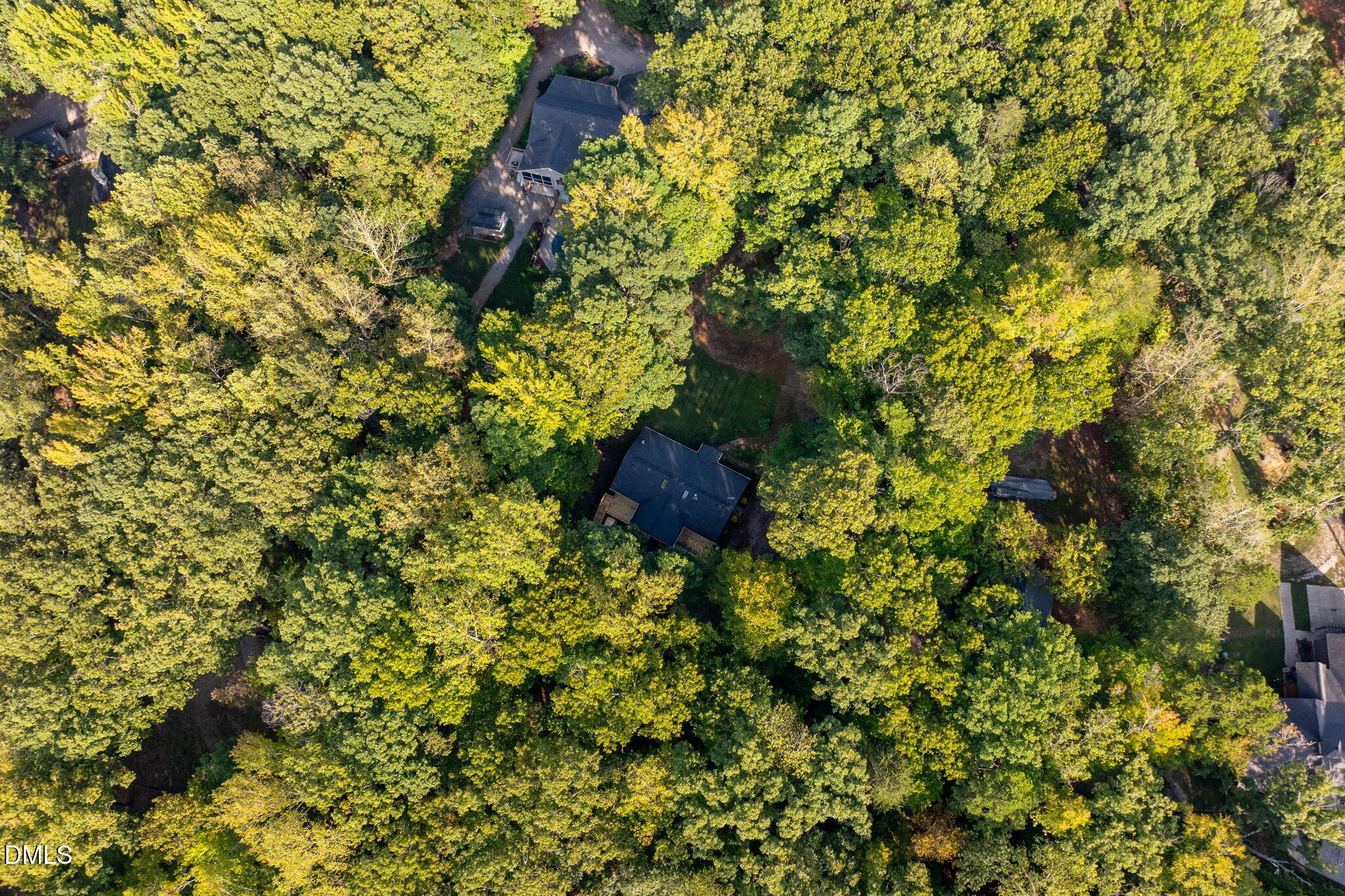 1873 Mill Creek Road Clarksville, VA 23927 - Photo 46 of 50 a backyard of a house with a tree