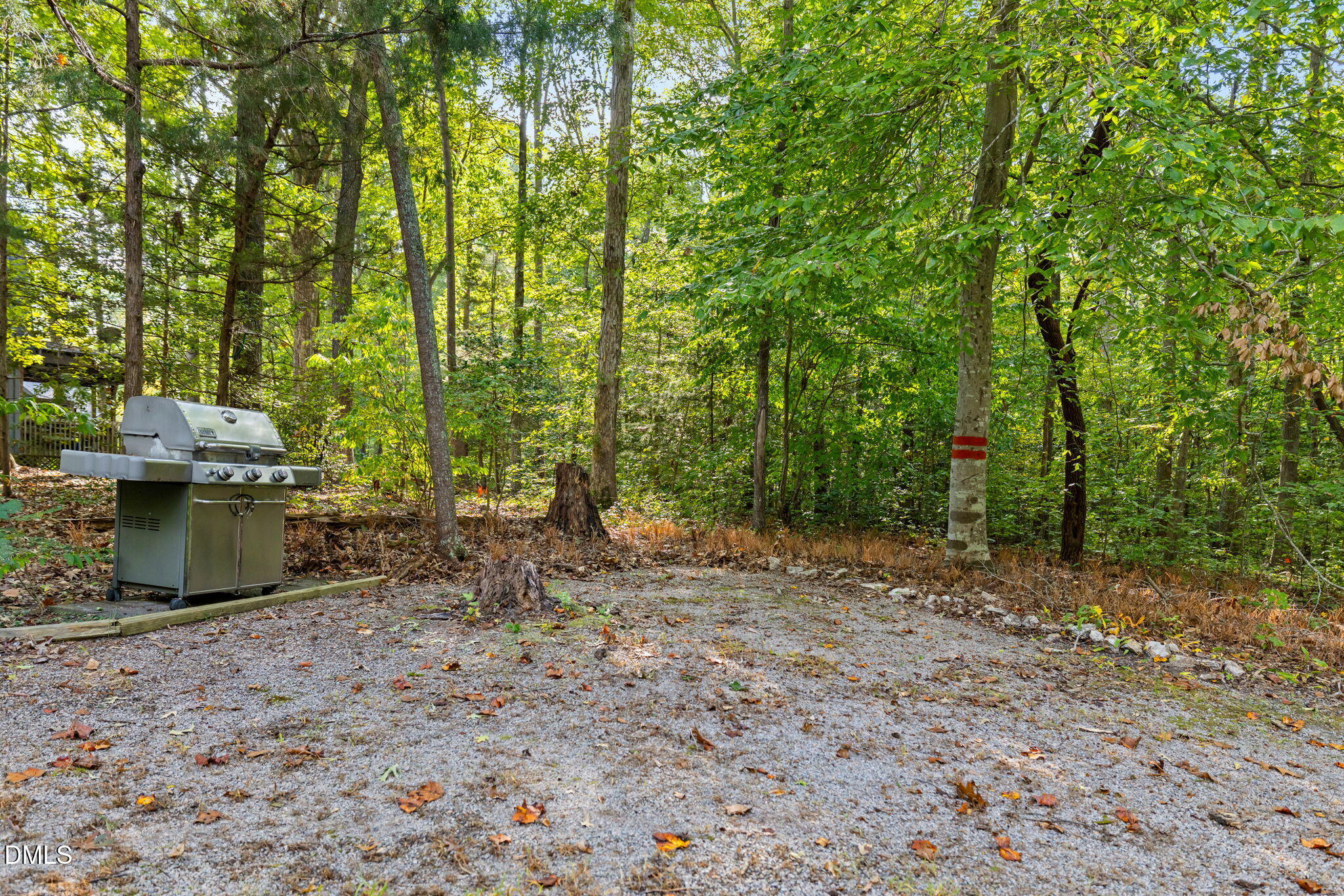 1873 Mill Creek Road Clarksville, VA 23927 - Photo 5 of 50 a view of a yard with plants and large trees