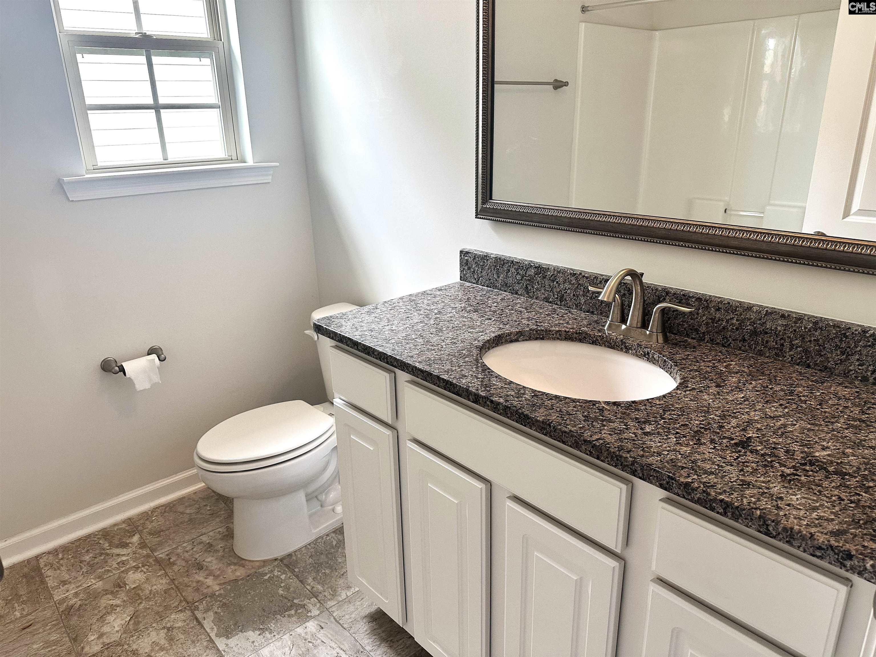 412 Maria Posada Court Chapin, SC 29036 - Photo 23 of 26