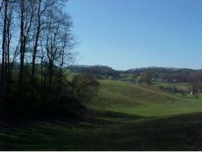 243 Hales Road Jonesborough, TN 37659 - Photo 1 of 1 Photo 1