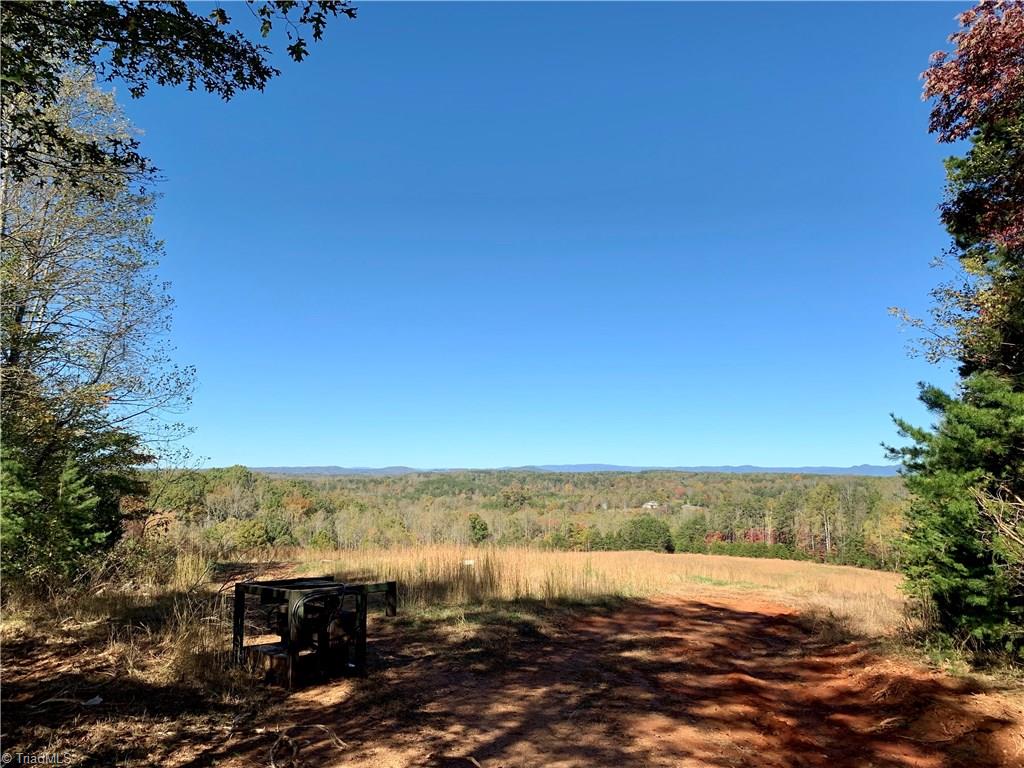 1122 France Road Westfield, NC 27053 - Photo 1 of 30 Looking north from easement road at edge of outparcel/subject property. Distant views of Virginia