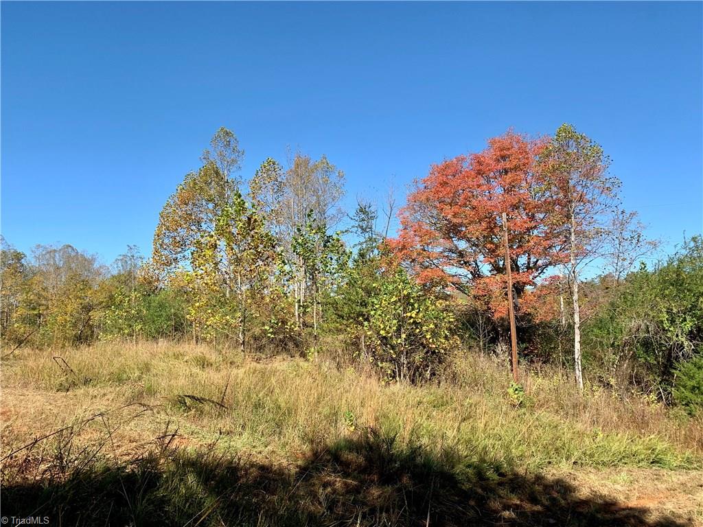 1122 France Road Westfield, NC 27053 - Photo 13 of 30 Gallery Image 13