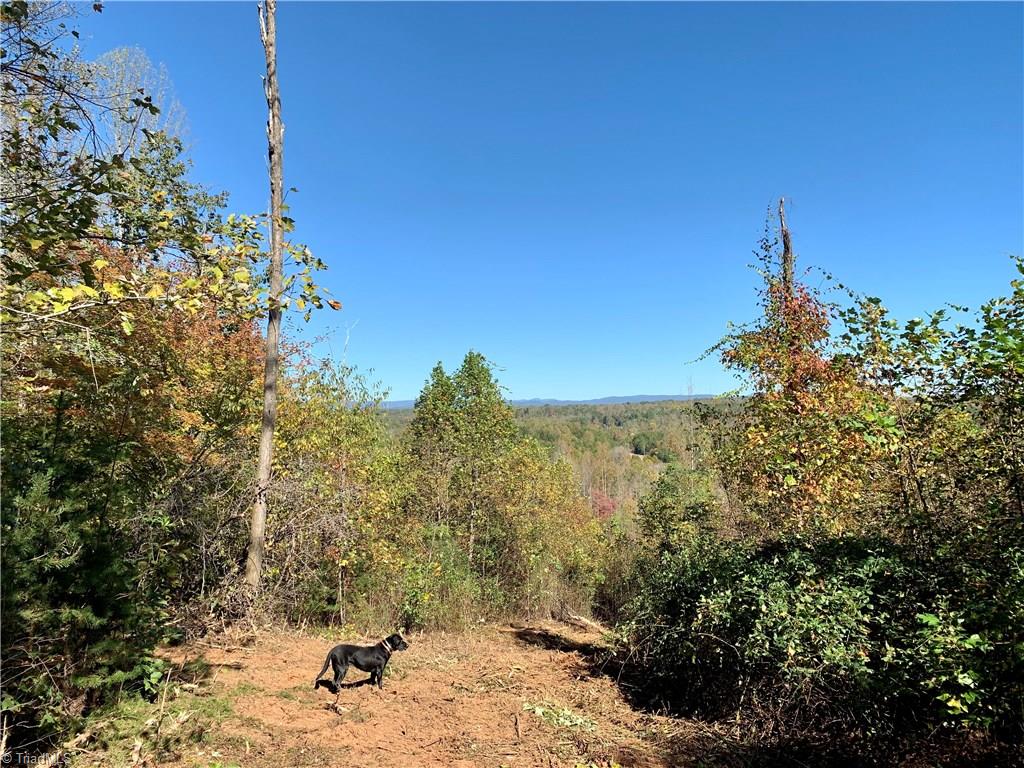 1122 France Road Westfield, NC 27053 - Photo 14 of 30 Jeep Trail. View of Virginia mountains in backround