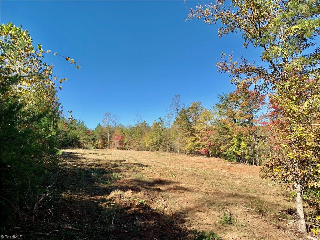 1122 France Road Westfield, NC 27053 - Photo 17 of 30 Gallery Image 17