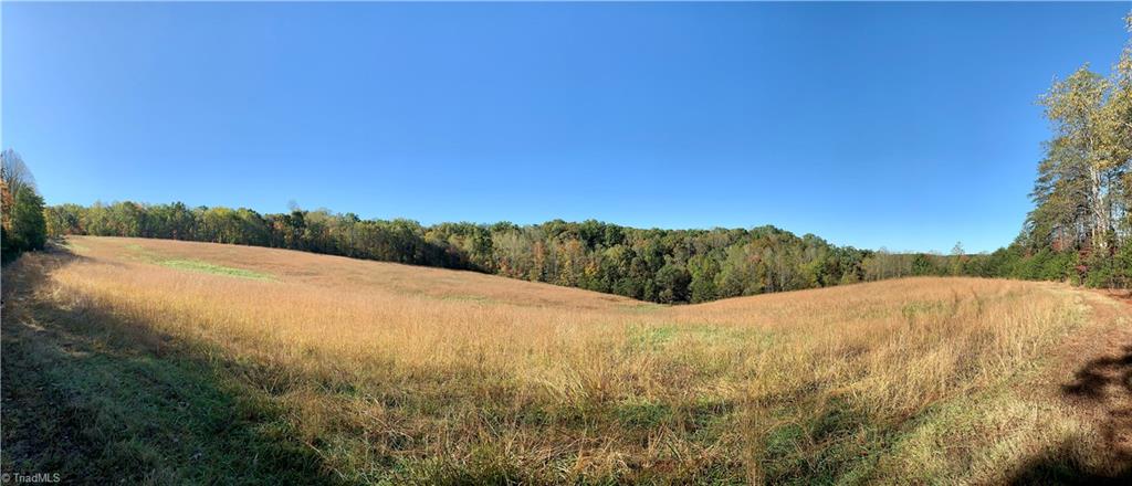 1122 France Road Westfield, NC 27053 - Photo 22 of 30 Easement road in middle of outparcel inside subject
