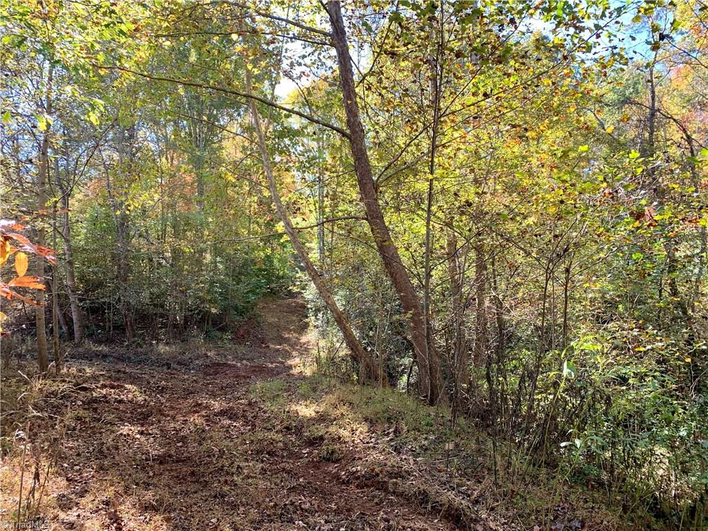 1122 France Road Westfield, NC 27053 - Photo 7 of 30 interior Jeep trail
