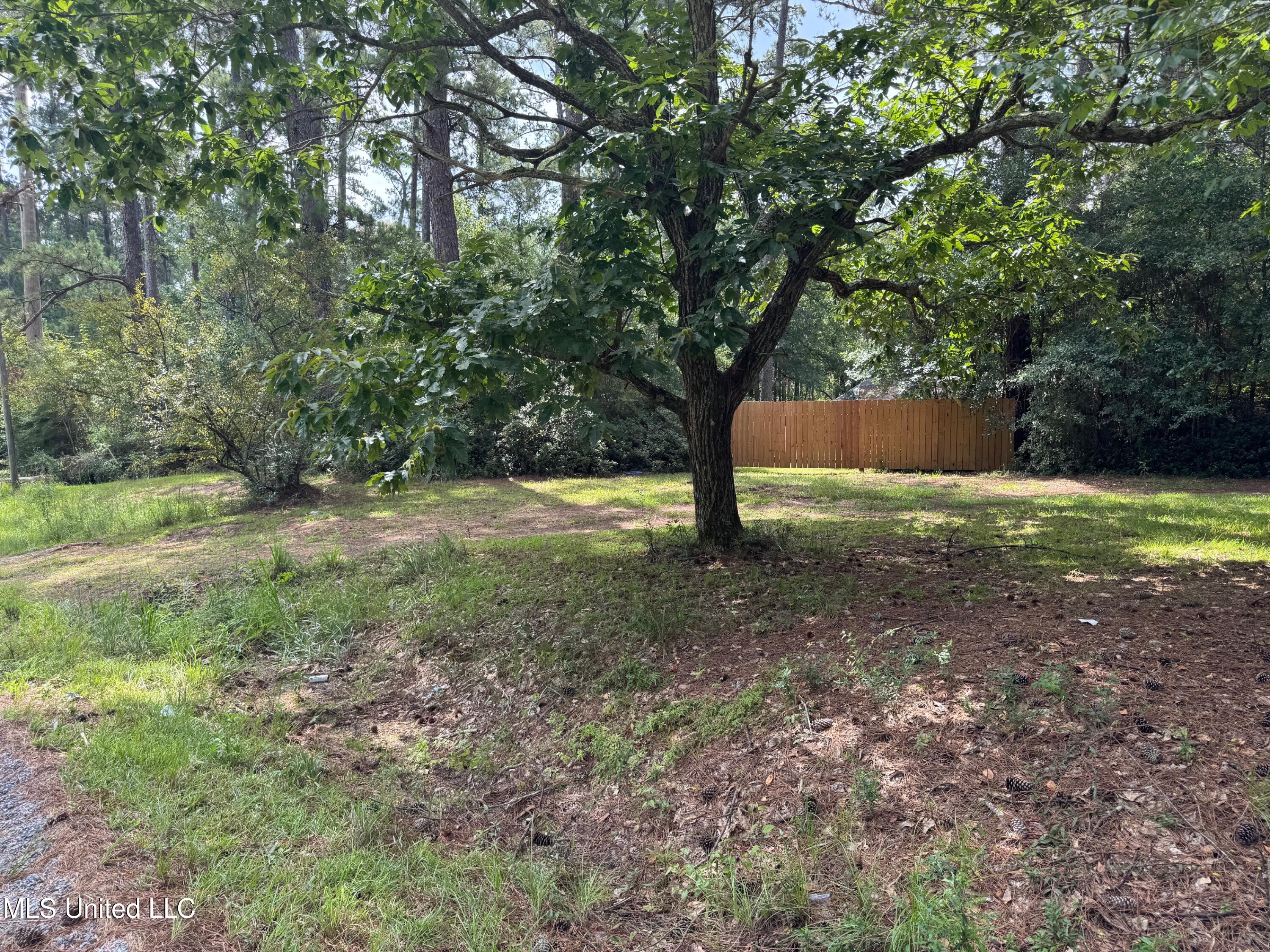 4058 Muddy Springs Road Magnolia, MS 39652 - Photo 29 of 40 IMG_5850