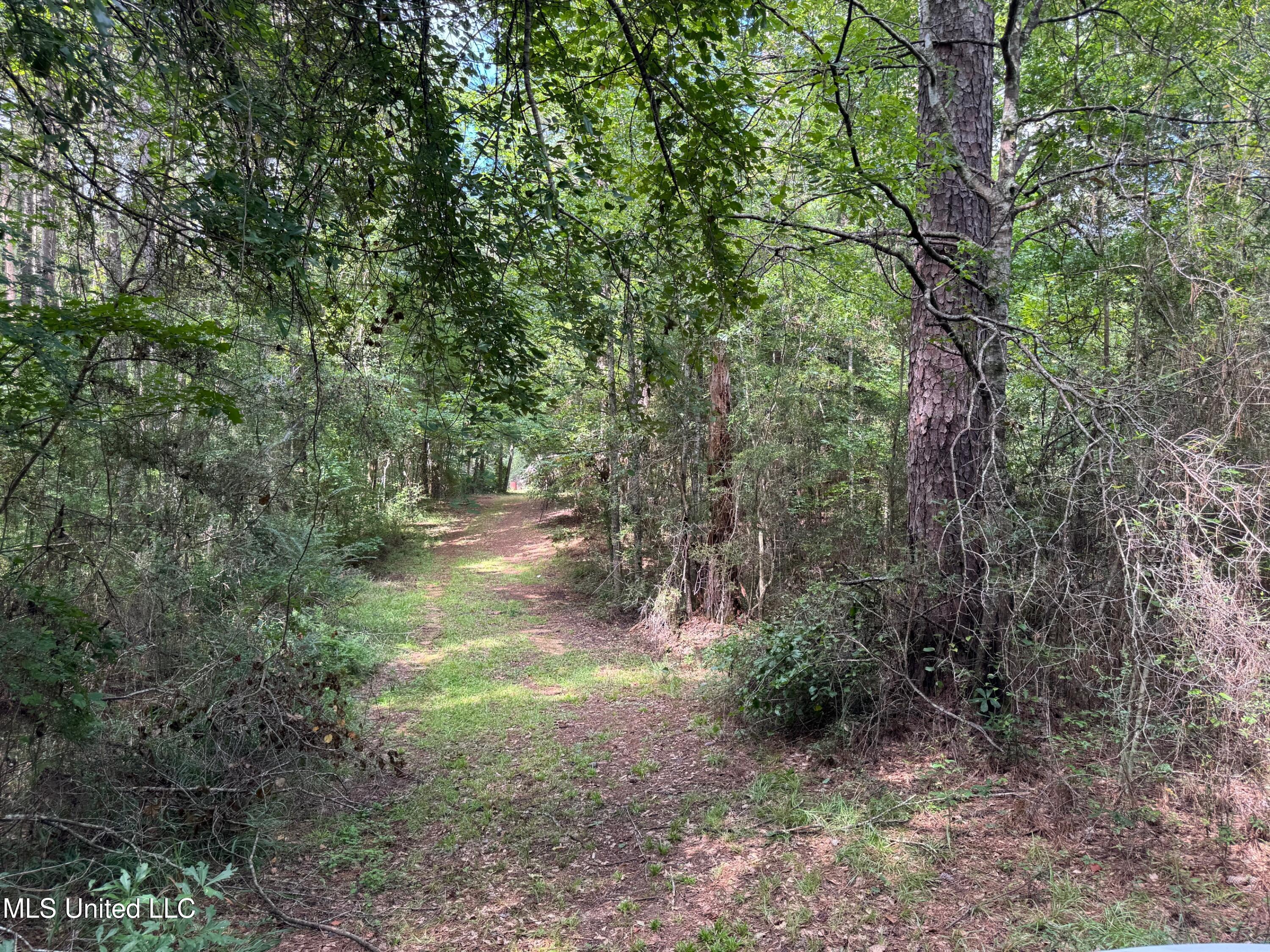 4058 Muddy Springs Road Magnolia, MS 39652 - Photo 34 of 40 IMG_5852