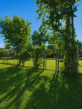 a view of a park with large trees