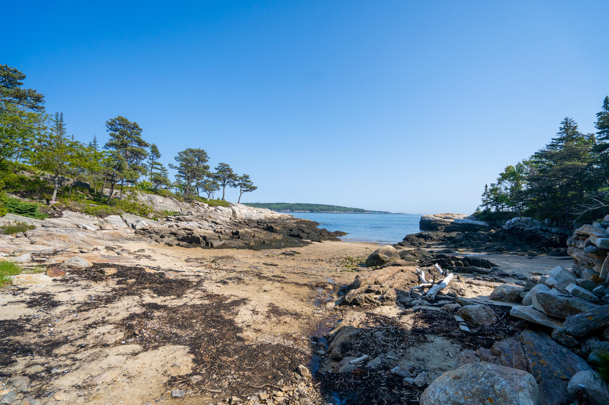 4 Wallace Circle Phippsburg, ME 04562 - Photo 47 of 56 4 Wallace-83