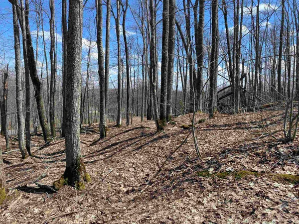 $20,000 | Tbd Lot 29 South Tbd Drive, South Range, MI 49963