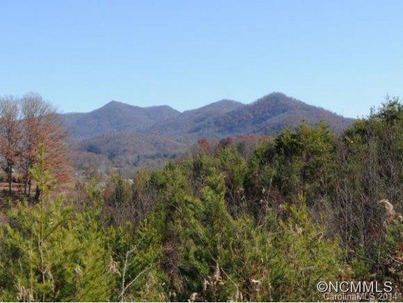 0 Pride Mountain Road Waynesville, NC 28786 - Photo 1 of 23 Gallery Image 1