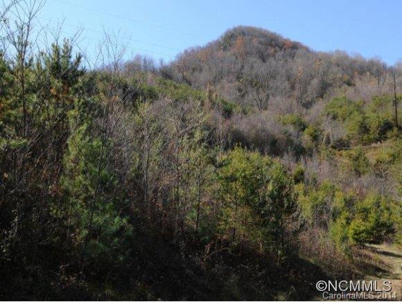 0 Pride Mountain Road Waynesville, NC 28786 - Photo 2 of 23 Gallery Image 2