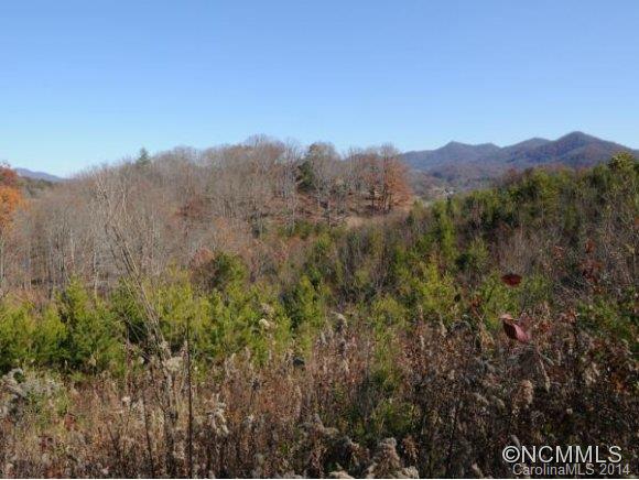 0 Pride Mountain Road Waynesville, NC 28786 - Photo 11 of 23 Gallery Image 11