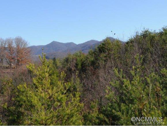0 Pride Mountain Road Waynesville, NC 28786 - Photo 12 of 23 Gallery Image 12