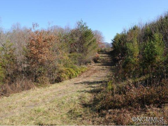 0 Pride Mountain Road Waynesville, NC 28786 - Photo 13 of 23 Gallery Image 13
