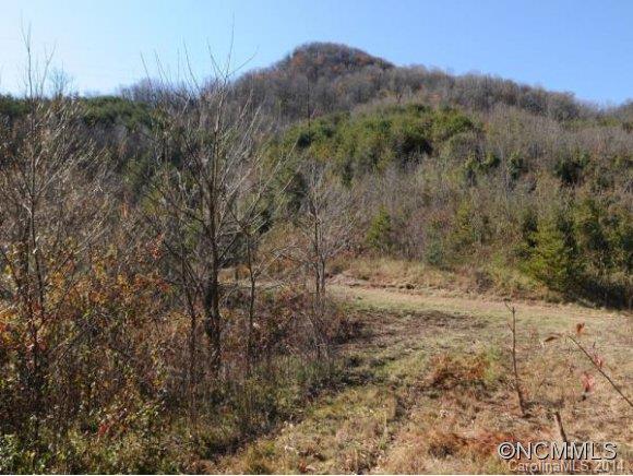 0 Pride Mountain Road Waynesville, NC 28786 - Photo 15 of 23 Gallery Image 15