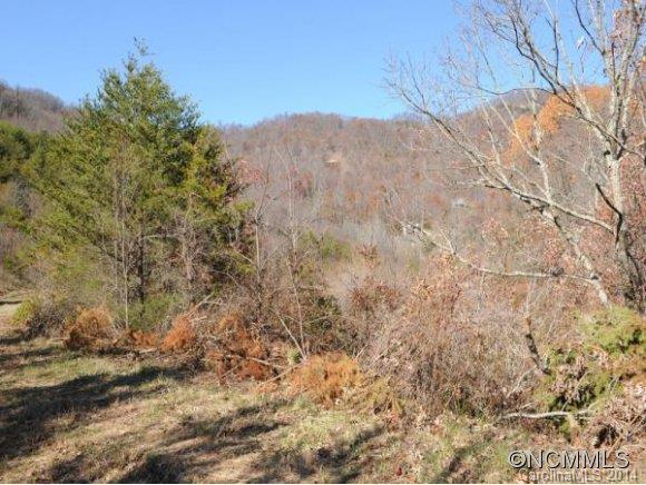 0 Pride Mountain Road Waynesville, NC 28786 - Photo 3 of 23 Gallery Image 3