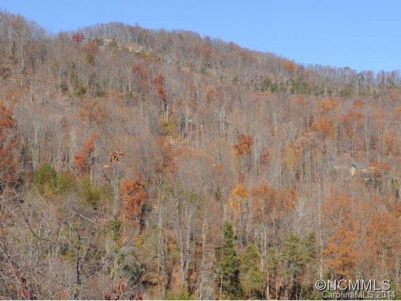 0 Pride Mountain Road Waynesville, NC 28786 - Photo 23 of 23 Gallery Image 23