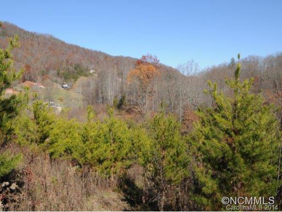 0 Pride Mountain Road Waynesville, NC 28786 - Photo 4 of 23 Gallery Image 4