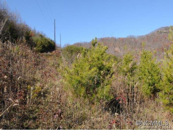 0 Pride Mountain Road Waynesville, NC 28786 - Photo 5 of 23 Gallery Image 5