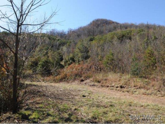 0 Pride Mountain Road Waynesville, NC 28786 - Photo 6 of 23 Gallery Image 6
