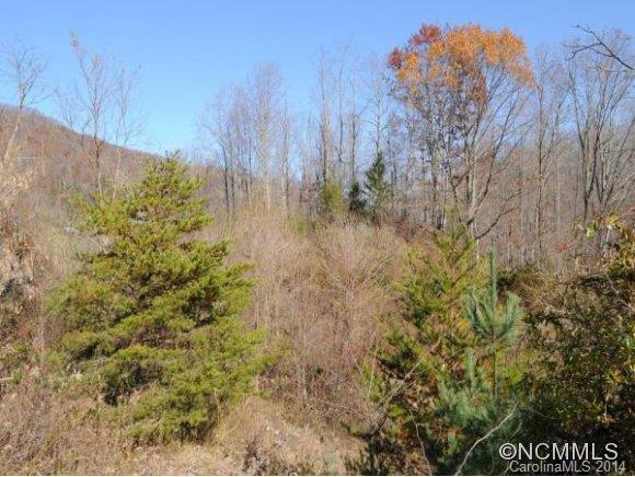 0 Pride Mountain Road Waynesville, NC 28786 - Photo 7 of 23 Gallery Image 7
