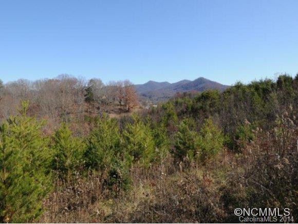 0 Pride Mountain Road Waynesville, NC 28786 - Photo 8 of 23 Gallery Image 8