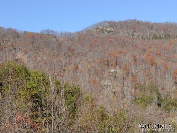 0 Pride Mountain Road Waynesville, NC 28786 - Photo 9 of 23 Gallery Image 9